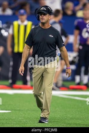 August 20, 2018: Baltimore Ravens Head Coach John Harbaugh während NFL Football preseason Spiel Aktion zwischen der Baltimore Ravens und die Indianapolis Colts im Lucas Oil Stadium in Indianapolis, Indiana. Baltimore besiegt Indianapolis20-19. Johann Mersits/CSM. Stockfoto