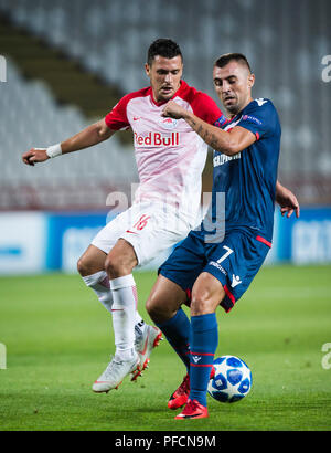 Belgrad, Serbien. Belgrad, Serbien. 21. August 2018, Rajko Miti &#x107; Stadium, Belgrad, Serbien; UEFA Champions-League-Qualifikationsspiel 1 Bein, Roter Stern Belgrad gegen Red Bull Salzburg; Zlatko Junuzovic Salzburg Herausforderungen Nenad Krsticic von Roter Stern Belgrad Credit: Aktion Plus Sport Bilder/Alamy leben Nachrichten Stockfoto