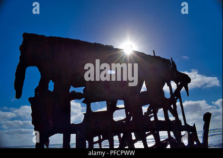 Peter Iredale Schiffswrack am Ft Stevens State Park in Oregon Stockfoto