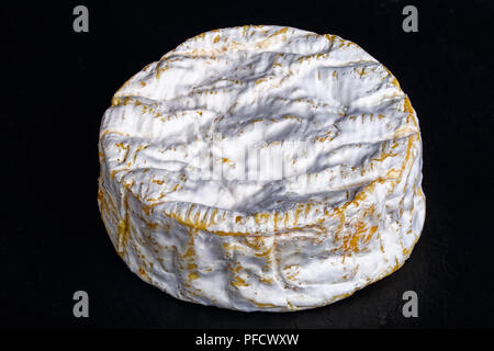 Weich, cremig, Oberfläche - gereifter Kuhmilch Käse Camembert auf schwarzem Schiefer Fach, Ansicht von oben, close-up Stockfoto
