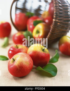 Grüne und rote Äpfel aus Stroh Korb auf der Seite im Hintergrund gespitzt, Vorderansicht. Stockfoto