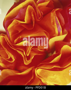 Orange Seidenpapier Blume, Nahaufnahme Stockfoto