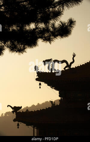 China, Hebei, Chengde, Xumifushou Miao (Tempel der Glück und Langlebigkeit), pagodendach mit Drachen detail, Dämmerung Stockfoto