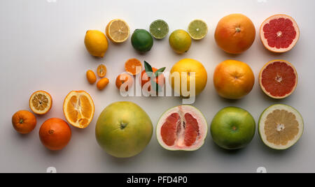 Auswahl von Zitrusfrüchten, einschließlich Zitrone, Grün, Gelb Kalk Kalk, Ruby Grapefruit, Kumquat, Clementine, Grapefruit, Pink Grapefruit, Orange, Sevilla Navelina, Rosa Pampelmuse, Sweetie Frucht und in Scheiben geschnitten Stockfoto