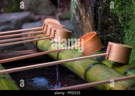 Tsukubai (Wasserbecken) mit Bambus hishaku (Pfanne) in Kasuga Taisha, Nara, Kansai, Japan Stockfoto