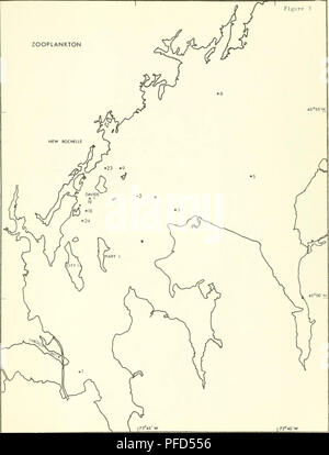 . Davids Insel Phase I: Eine kurzfristige ökologische Umfrage der westlichen Long Island Sound. Meeresbiologie - Long Island Sound (N. Y. und Anschl.); Wasser Chemie; Marine Ökologie - Long Island Sound (N. Y. und Anschl.). Abbildung 3 ZOOPLANKTON 45° 55' N. | 73° 45' W 73° 40' W. Bitte beachten Sie, dass diese Bilder sind von der gescannten Seite Bilder, die digital für die Lesbarkeit verbessert haben mögen - Färbung und Aussehen dieser Abbildungen können nicht perfekt dem Original ähneln. extrahiert. Sandy Hook Labor; in den Vereinigten Staaten. National Marine Fischerei Service. Region Nordost. Hochland, N. J.: Die Stockfoto