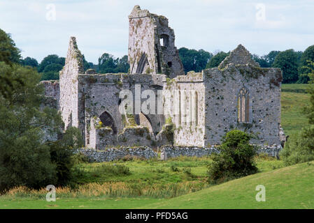 Irland, County Tipperary, Athassel Priorat, alte Ruinen der Kirche aus dem 13. Jahrhundert Stockfoto