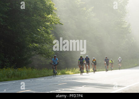 Eine Gruppe von Fahrradfahrern feilbieten auf einem Early Misty Morgens Fahrt durch den Adirondack Mountains Wilderness auf einer Tour mit Zyklus ADK. Stockfoto