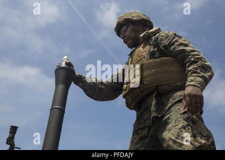 Ein Marine mit Waffen Firma, Bataillon Landung Team, 2nd Battalion, 5th Marines, bereitet eine M252 A1 81 mm Mörser System während der Ausbildung in Okinawa, Japan, Juni 5, 2018. Während der Ausbildung, Fire Support Marines mit 5 Air Naval Geschützfeuer Liaison Firma namens in enger Unterstützung aus der Luft und Indirektes Feuer simulierte Alliierten durch die Unterdrückung und neutralisierende simulierten Gegner Drohungen zu unterstützen. Die 31. MEU, das Marine Corps' nur kontinuierlich vorwärts bereitgestellt MEU, bietet eine flexible Kraft bereit, eine breite Palette von militärischen Operationen auszuführen. Stockfoto