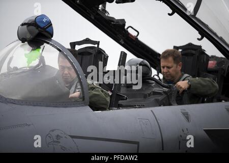 Kol. Donn Yates, 48th Operations Group Commander und seine Waffensysteme Officer, durchlaufen Ihre Pre-flight Systems prüft auf seinem letzten Flug mit Royal Air Force Lakenheath, England, Juni 1. Yates ist voraussichtlich das Kommando über die 4Th Fighter Wing bei Seymour Johnson Air Force Base, North Carolina zu dieser Sommer. Stockfoto