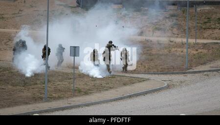 Soldaten, die Präsenz der NATO erweiterte Vorwärts battle groups führen einen Angriff Übung während Sabre Strike18 am Pabrade Training Area, Litauen, 11. Juni 2018. Der Angriff übung und später Static Display wurde von Verehrte Besucher aus mehreren Ländern beobachtet. Sabre Streik 18 ist eine multinationale Übung geplant von Juni 3-15 Tests ausführen, die NATO die verbesserte Präsenz weiterleiten (eFP) battle groups in Estland, Lettland, Litauen und Polen. Die Übung ist Teil der NATO-Ziele Interoperabilität der Allianz zu demonstrieren und jedes teilnehmende Land Hilfe erhalten Stockfoto