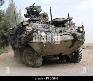 Us-Soldaten mit Battle Group Polen fahren Sie den Zwischenbericht des gepanzerten Fahrzeugs tryker' während einer multinationalen Übung als Teil der Sabre Strike18 am Bemowo Piskie, Polen am 12. Juni 2018. Sabre Streik 18 ist der achte Iteration des langjährigen US-Army Europe - LED-kooperative Arbeit, die Interoperabilität zwischen den Verbündeten und Partnern in der Region zu verbessern. (Michigan Army National Guard Stockfoto