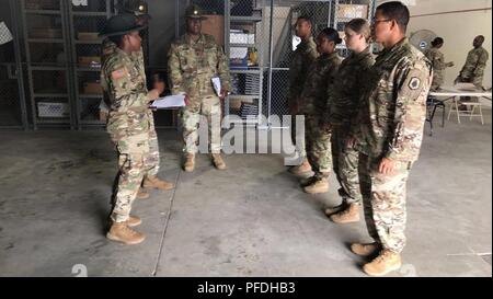 U.S. Army Reserve Drill Sergeant, Staff Sgt. Karlstan Wilson, Bravo Company 4. Brigade zugeordnet, 98th Abteilung Weiterbildung (IET) und Drill sergeants diskutieren richtige Bohren und die Zeremonie mit Soldaten der US-Army Reserve 2018 besten Krieger Wettbewerb in Fort Bragg, North Carolina, 11. Juni 2018. Bohrer Feldwebel und Unteroffiziere aus der 98.-Ausbildungszentrum (IET) unterstützt mit Einstufung und die Unterstützung der besten Krieger Wettbewerb 2018. - ( Stockfoto