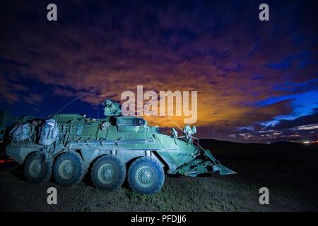 Einen M1132Ingenieur Gruppe gehörendes Alpha Company, 898th Brigade Engineer Battalion, 81th Stryker Brigade Combat Team, sitzt unter dem Nachthimmel auf einem Abrisse in Yakima Training Center, Yakima, Washington, 12. Juli 2018. Die M1132 ist die Bekämpfung engineering Variante des Stryker armored Fighting Vehicle. Stockfoto