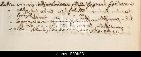 „Der Baum“ von Hermann Schacht ist eine Abhandlung über die Physiologie und Struktur von Bäumen und untersucht deren Wachstum, Entwicklung und botanische Bedeutung. Das Buch beschreibt verschiedene Baumarten, ihre ökologische Rolle und wie sie als wichtige Bestandteile von Waldökosystemen funktionieren. Stockfoto