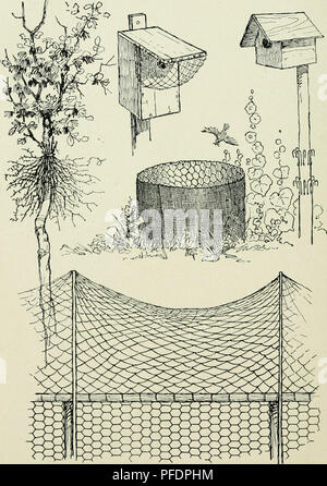 . Abteilung Rundschreiben. Die Landwirtschaft. Abb. 1.-Cat-proof Zaun und andere Geräte für den Schutz der Vögel von Katzen. (Von wirtschaftlichen Biologie Bulletin Nr. 2, Massachusetts State Board von Landwirtschaft, 1916.). Bitte beachten Sie, dass diese Bilder sind von der gescannten Seite Bilder, die digital für die Lesbarkeit verbessert haben mögen - Färbung und Aussehen dieser Abbildungen können nicht perfekt dem Original ähneln. extrahiert. Massachusetts. Abt. der Landwirtschaft. Boston, Mass. Stockfoto