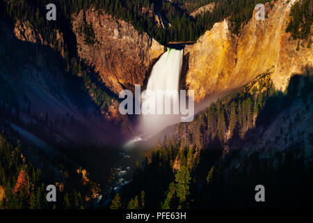 Sonnenaufgang über der unteren fällt in Canyon Village, Yellowstone National Park, USA Stockfoto