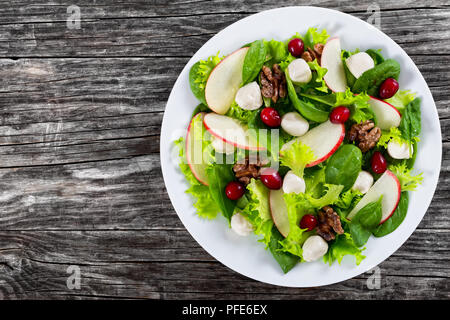 Köstliches herbst Vitamine vegetarische Salat: Apple, Spinat, mini Mozzarella Kugeln, Salat, Walnüsse, Cranberry auf weißem Teller auf alten, dunklen rustikalen Tisch Stockfoto