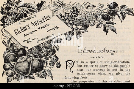 . Beschreibender Katalog der Besten und erwies sich als Sorten von Äpfeln.... Baumschulen (Gartenbau) Illinois Arlington Heights Kataloge; Obstbäume Sämlinge Kataloge; Frucht Samen Kataloge; Blumen Kataloge. in Pflege Wahl Früchte und Blumen für den Markt in den letzten dreißig Jahren engagiert worden, sein Objekt ist in erster Linie jene Arten von Bäumen und Pflanzen zu vermehren, die Erfahrung hat bewiesen, die Rentabelsten für allgemeine Bodenbearbeitung in diesem Teil der countrj Gestützt auf die quantitj' und der Qualität der Früchte produziert werden, unsere persönliche Aufmerksamkeit ist auf die pfropfung gegeben Stockfoto