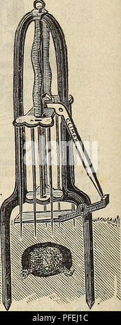 . Beschreibender Katalog der Samen: Garten, Feld, Blume, Düngemittel, &Amp; C., landwirtschaftliche und gartenbauliche implementiert. Blumen Samen Samen Kataloge Kataloge; Gemüse; Getreide Gräser Samen Samen Kataloge Kataloge; Obst; Gartengeräte und Zubehör Kataloge; kommerzielle Kataloge New York (State) New York. Dieses Instrument wird auch zwischen den Zeilen der Sämlinge unter Zierpflanzen oder überall dort, wo Freiheit von Unkraut gewünscht wird, und eines der besten Instrumente, die je zu diesem Zweck angeboten. Preis, 20 Cent. Der Höhepunkt BODEN MAULWURF FALLE. Es steht ohne einen Für die fol-gleich Stockfoto