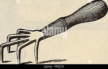 . Beschreibender Katalog der Samen: Garten, Feld, Blume, Düngemittel, &Amp; C., landwirtschaftliche und gartenbauliche implementiert. Blumen Samen Samen Kataloge Kataloge; Gemüse; Getreide Gräser Samen Samen Kataloge Kataloge; Obst; Gartengeräte und Zubehör Kataloge; kommerzielle Kataloge New York (State) New York. Preis pro Satz, (kleine) $ 1 25"" (Groß) 1 "EXCELSIOR JÄTEN HAKEN.. Dieses Instrument wird auch zwischen den Zeilen der Sämlinge unter Zierpflanzen oder überall dort, wo Freiheit von Unkraut gewünscht wird, und eines der besten Instrumente, die je für diesen Zweck angeboten Stockfoto