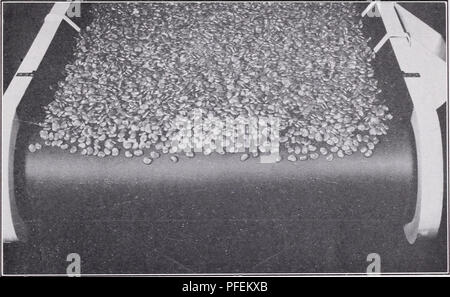 . Einen beschreibenden Katalog von Gemüse für die Konserven- und schnelle einfrieren. Züchter und Züchter. 9 LIMA BOHNEN: Zwerg oder Bush. Clark's Bush: Nach 17 Jahren Asgrow Zucht und Prüfung Länge Breite von Pod pod Zoll Zoll Tagen - BABY KARTOFFEL 234 z/A 72 - Amerika Silber Medaille für 1940 eingeführt. Die ursprünglich von Prof. W. A. Huelsen, Universität von Illinois gewählt; entwickelt und von zugehörigen Saatgutvermehrer, Inc. Die Bohnen eingeführt sind kleine, aber Dick, der helle grüne Farbe, wenn frisch und ähnlich im Geschmack zu Fordhook. White: 65 pro Unze. Frühe BABY KARTOFFEL 2% 3/4 66 Ähnlich Baby Kartoffel Stockfoto