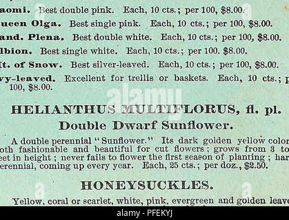 . Beschreibender Katalog der Gemüse, Blumen und Samen. Baumschulen (Gartenbau); Baumschulen; Samen; Glühlampen (Pflanzen); Gartenbau; Ausrüstungen und Zubehör; pflanzen; Weeber & Amp; Don. Der mond Blume. HELIOTROPES. Farben alle Farben lila, violett, usw. Jeder, 10 cts.; pro 100, $ 8.00. Stockrosen. Neue doppelte Belastung. Diese Sorten zeichnen sich durch perfekte Doppel Blumen, große Größe, Brillanz und Vielfalt der Farben. Wir bieten Ihnen in folgenden ehades, die die führenden Farben gewachsen:, double weiß, double Gelb, Doppelzimmer Lavendel, Rosa, Crimson. Jeder, 20 cts.; Stockfoto