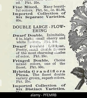 . Beschreibender Katalog der Gemüse, Blumen und Samen. Baumschulen (Gartenbau); Baumschulen; Samen; Glühlampen (Pflanzen); Gartenbau; Ausrüstungen und Zubehör; pflanzen; Weeber & Amp; Don. Mohn, Double Fine gemischt. 5c, oz. 25C. Brillante Farben. Pkt. Mohn, Einzelzimmer Doppelzimmer jährliche Mohnblumen amerikanische Flagge. Diese sind robust Züchter über 2 m hoch, gut verzweigten, frei Lager große Flow-ers; ein reines Weiß, mar-gined dunkel orange - Scharlach. Pkt. 10 C. Fairy Erröten. Großes Doppelzimmer mit Fransen Blumen, mit weißer Spitze mit Rose. Pkt. 5c. Marselli. Doppel weiß und rot, 2 ft. Pkt. 5c. Die Mikado. Die Stockfoto