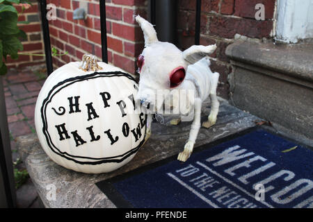 Eine Halloween Mumie Hund mit roten Augen stand neben einer weiß lackierten Kürbis mit ein Happy Halloween Zeichen auf der Veranda Stockfoto