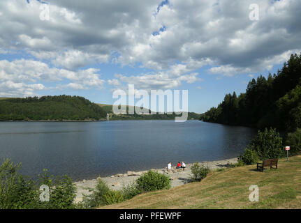 Lake Vyrnwy Stockfoto