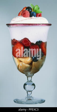 Obst ricotta Tiramisu Stockfoto
