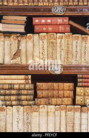Mexiko, Mexiko City, Biblioteca Palafoxiana, Regale mit historisch Volumen Stockfoto
