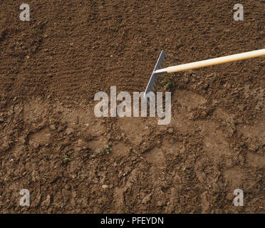 Ziehen rake über Boden, Ansicht von oben Stockfoto