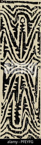 Dieses Bild zeigt eingeschnittene Entwürfe aus Neuguinea, die die komplizierten dekorativen Kunstformen der indigenen Kulturen zeigen. Die Entwürfe umfassen geometrische Muster und Motive, die häufig in zeremoniellen Objekten verwendet werden und die kulturelle Bedeutung der Dekoration in Neuguinea widerspiegeln. Die Kunst unterstreicht das Können der Handwerker bei der Verwendung natürlicher Materialien für dekorative Zwecke. Stockfoto