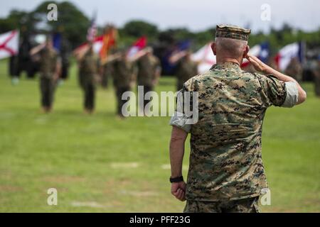 Lieutenant General Lawrence Nicholson, Kommandierender General des III Marine Expeditionary Force, macht ein Gruß an die Farben während der Änderung des Befehls im Camp Hansen, Okinawa, Japan, Juni 13, 2018 Der 31 Marine Expeditionary Unit. Nicholson war die Überprüfung der Offizier während der Zeremonie. Colonel Robert Brodie, neu ernannten Kommandanten der 31 Marine Expeditionary Unit, übernahm das Kommando von Colonel Tye R. Wallace während der Zeremonie. Brodie Kommando nach vor kurzem am 1 Air Force, 601St Air Operations Center. Wallace, ein Absolvent des Rensselaer Polytechnic Institute in Troy, Ne Stockfoto