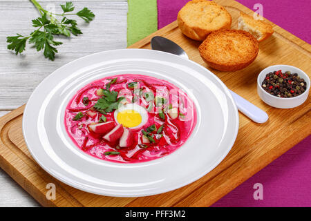 Gemüse kalte Suppe mit Rote Bete, Gurken, Schalotten, Radieschen dekoriert mit gekochtem Ei in Scheiben geschnitten und die petersilie Schale auf Schneidebrett mit toas Stockfoto