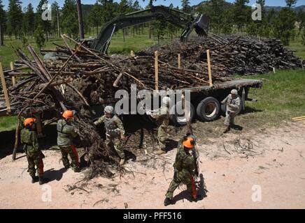 Soldaten der Task Force 38, Kanadische Armee und Soldaten aus Kansas Army Reserve und National Guard Einheiten, Last Holz auf Lastwagen in der Nähe von Custer, S. D, 12. Juni 2018. Das Holz wird zu Reservierungen in South Dakota als Teil der Golden Coyote Training transportiert werden. Stockfoto