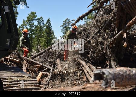 Soldaten aus der 137 Transport Unternehmen, Kansas Army National Guard und ein Soldat von Task Force 38, Kanadische Armee, Holz, Länge, um Pine Ridge und Rosebud Reservierungen während der jährlichen Holz schleppen die Goldenen Coyote's Training Mission in der Nähe von Custer, S.D., 12. Juni 2018 gezogen werden. Diese humanitäre Mission fördert positive Beziehungen zwischen den nationalen Schutz und indianischen Gemeinschaften. Stockfoto