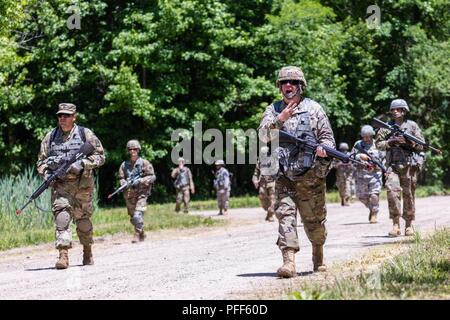 U.S. Army Reserve Generalmajor Peter Bosse, Kommandierender General, 335.- Signal (Theater) blinkt ein Handzeichen während eines simulierten Patrol bei Joint Base Mc Guire-Dix - Lakehurst in New Jersey, 12. Juni 2018. U.S. Army Reserve Soldaten mit den 335.- Signal (Theater) ihre Krieger Aufgaben und Schlacht Bohrer bei Blitzschlag 2018 praktiziert. Blitzschlag ist eine jährliche Veranstaltung, die sicherstellt, dass die 335. und ihre Soldaten ausgebildet sind und bereit, auf kurze bereitstellen - Bekanntmachung und fähig, Bekämpfung bereit, und tödlichen Feuerkraft zur Unterstützung der Armee und Partnern überall auf der Welt. Stockfoto