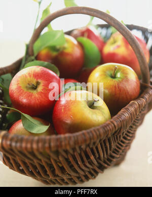 Rote und grüne Äpfel im Strohkorb mit Griff, Vorderansicht. Stockfoto