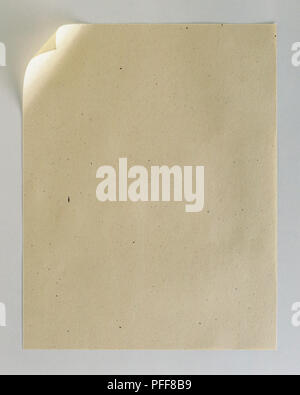 Blatt, Papier Stockfoto