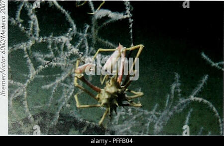 . Biodiversität in der Tiefsee und Ökosysteme - ein Scoping Bericht über deren sozio-Wirtschaft, Management und Unternehmensführung. UNEP-WCMC Biodiversität Serie 28. Biodiversität in der Tiefsee und Ökosysteme Tabelle 4.1: Verschiedene Formen der Unsicherheit und mögliche methodische Antworten Quelle: von Stirling, 2007 und Stirling und Gee, 2002 Wissen über Ergebnisse Knowledqe Angepasst über die Wahrscheinlichkeit, dass die Ergebnisse gut definierte Resultate schlecht definiert einige Basis für Wahrscheinlichkeiten Risiko Mehrdeutigkeit Risikobewertung partizipative Beratung Multi-utility Theorie der Interessengruppen Verhandlung Entscheidung Analyse Q-Methode, Fundgrube Stockfoto