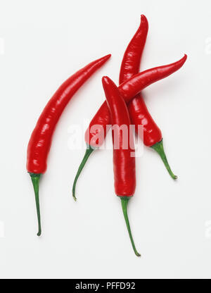 Vier rote Chilischoten Stockfoto