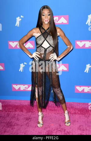 Winnie Harlow an der 2018 MTV Video Music Awards in der Radio City Music Hall in Los Angeles, USA statt. Bild Datum: Montag, August 20, 2018. Siehe PA Geschichte SHOWBIZ VMAs. Foto: PA/PA-Kabel Stockfoto