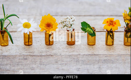 Extrakte aus Kräutern in kleinen Flaschen. Selektive konzentrieren. Natur. Stockfoto