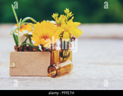 Extrakte aus Kräutern in kleinen Flaschen. Selektive konzentrieren. Natur. Stockfoto