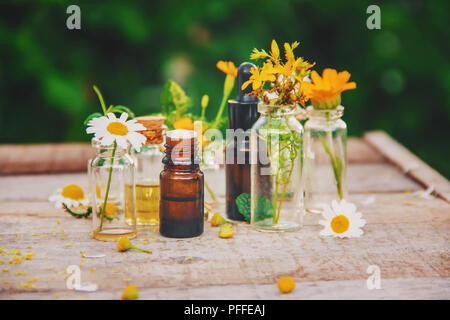 Extrakte aus Kräutern in kleinen Flaschen. Selektive konzentrieren. Natur. Stockfoto