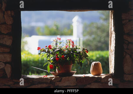 Spanien, Ibiza, Blick durch die Fenster der Bauernhaus, mit Blumen auf der Fensterbank Stockfoto