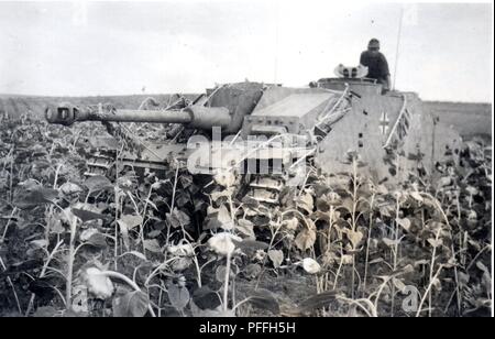 Deutsche schwere Sturmgeschütz Panzer 1944. Diese sturmgeschütz ist zu einem Waffen-SS Panzer Division attatched Stockfoto