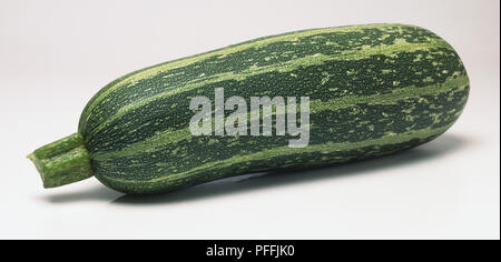 Cucurbita pepo, roh Knochenmark, Seitenansicht. Stockfoto